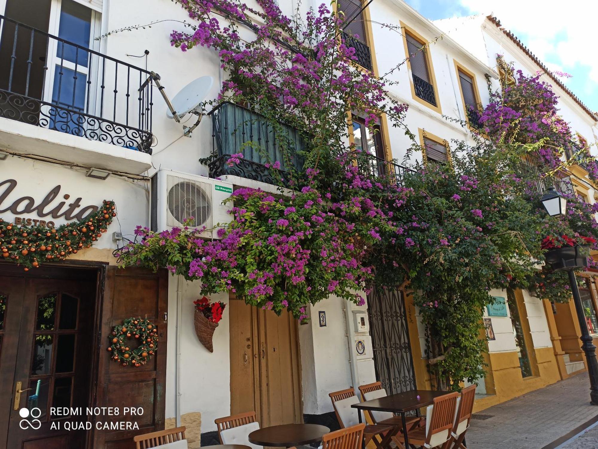 Bambino Playa Appartement Marbella Buitenkant foto